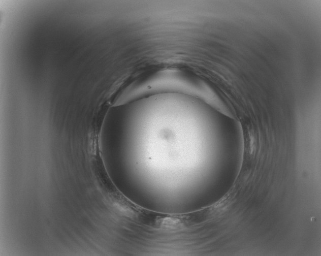 X0000072970180200607282331