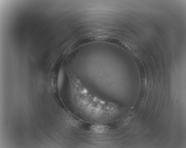 X0000072970181200607282331