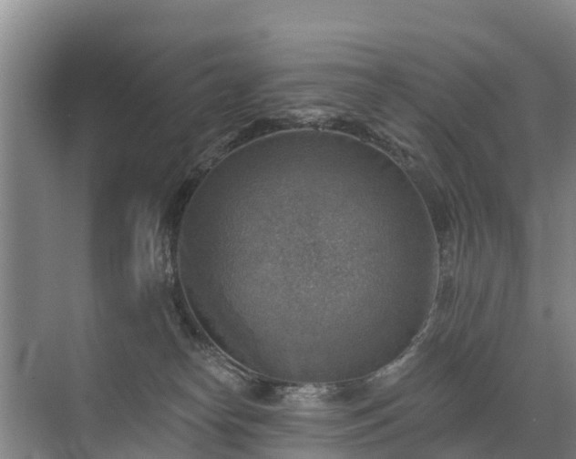 X0000072970182200607282331