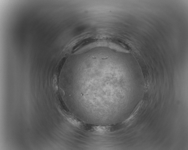 X0000072970187200607282331