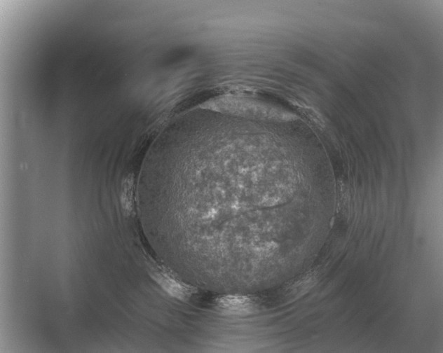 X0000072970189200607282331