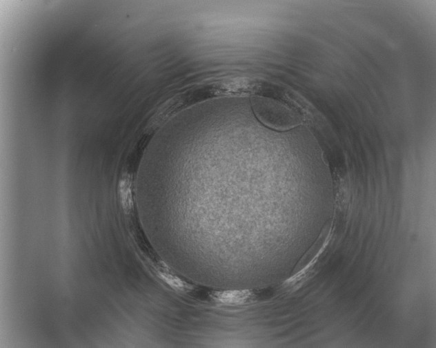 X0000072970191200607282331