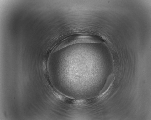 X0000072970192200607282331