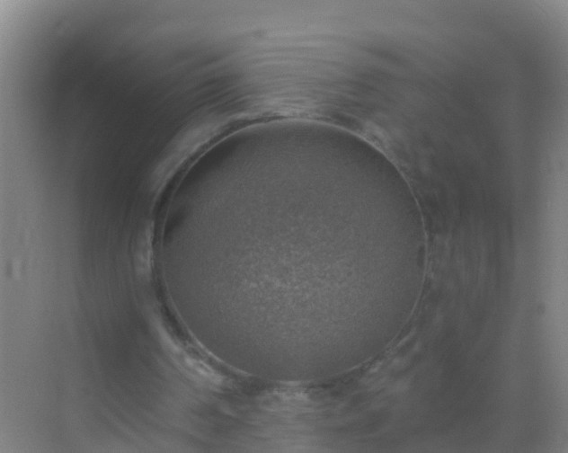 X0000072970194200607282331