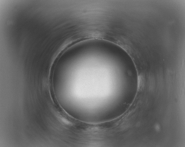 X0000072970195200607282331