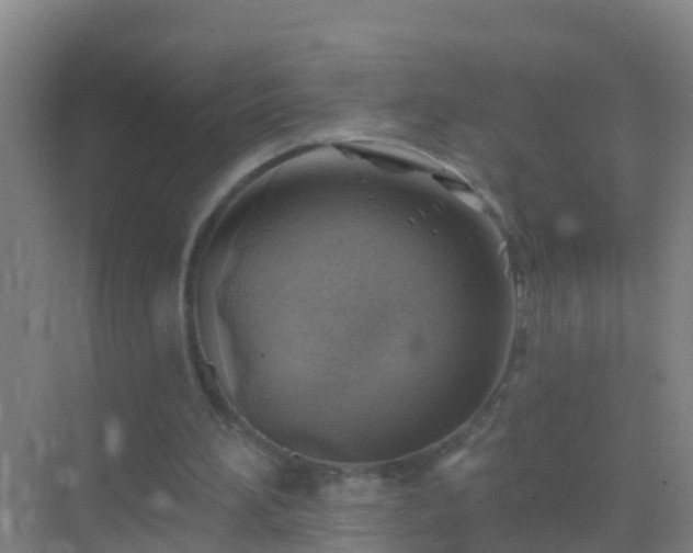 X0000072970196200607282331