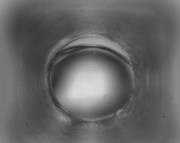 X0000072970197200607282331