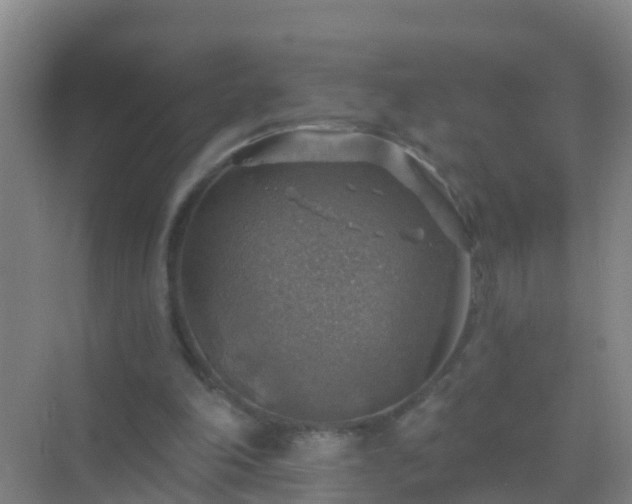 X0000072970198200607282331