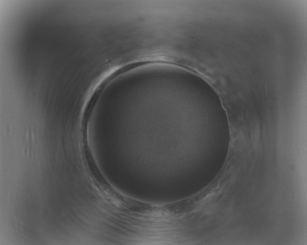 X0000072970200200607282330