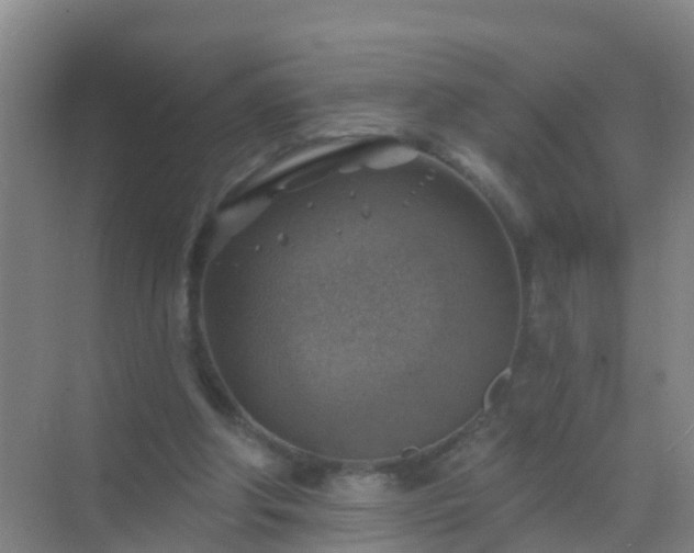 X0000072970202200607282330