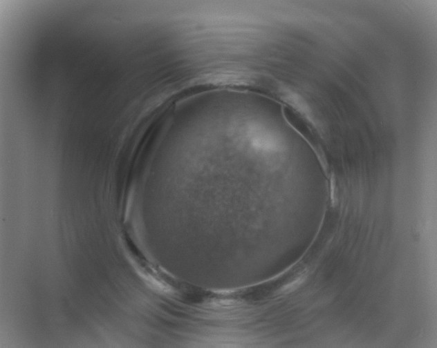 X0000072970205200607282330