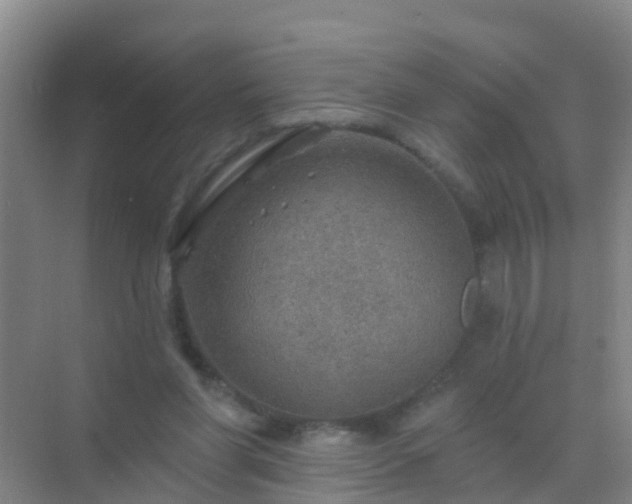 X0000072970206200607282330