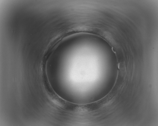 X0000072970207200607282330