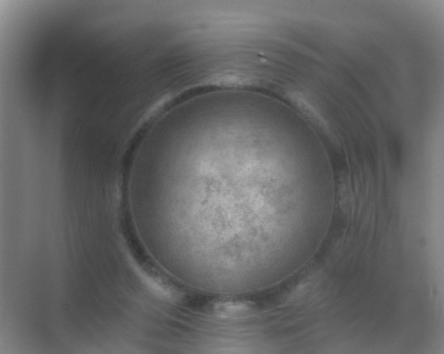 X0000072970208200607282330