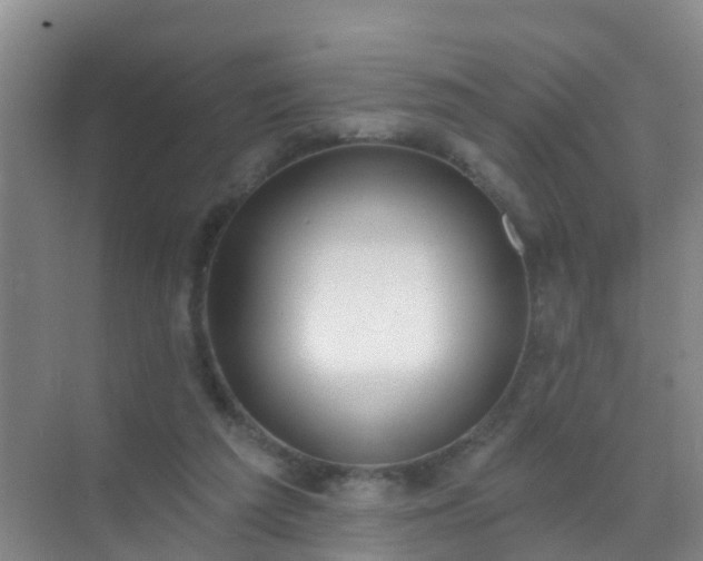 X0000072970209200607282330