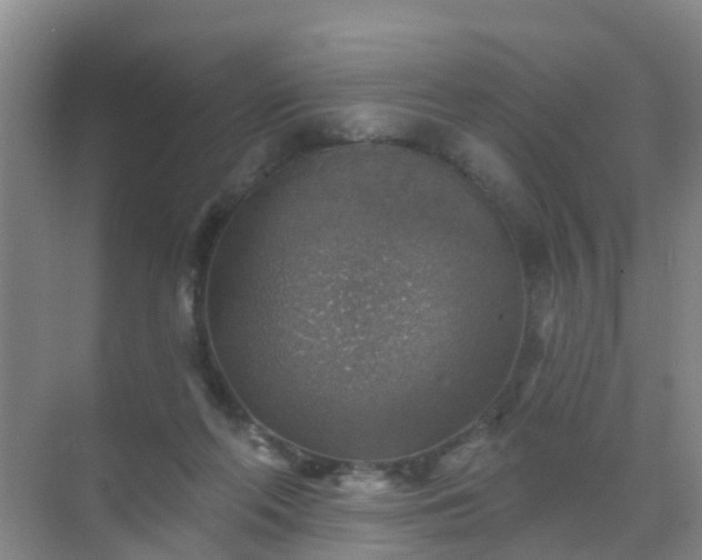 X0000072970214200607282330