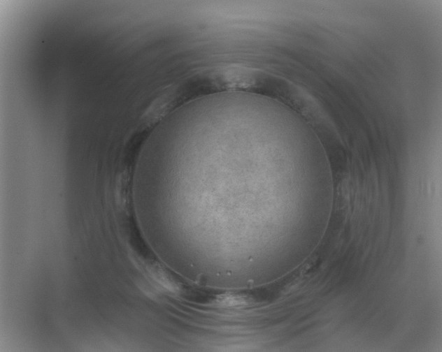 X0000072970218200607282330