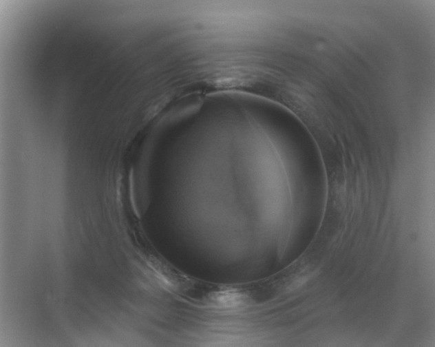 X0000072970219200607282330