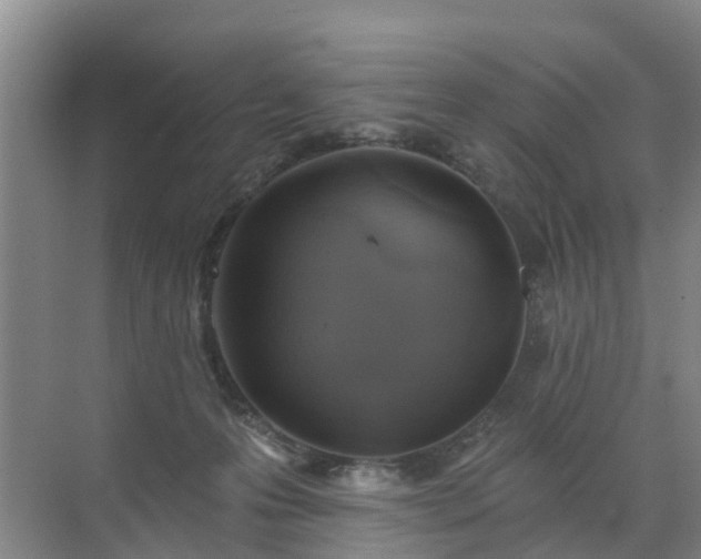 X0000072970223200607282330