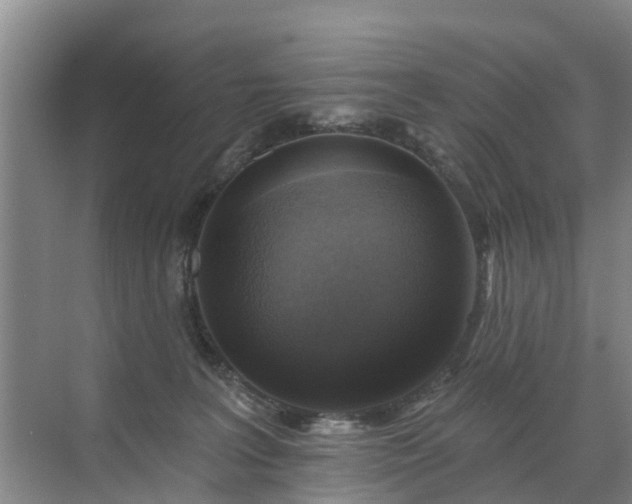 X0000072970227200607282330