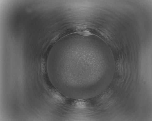 X0000072970228200607282330