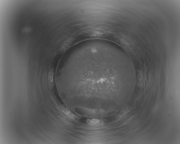 X0000072970230200607282330