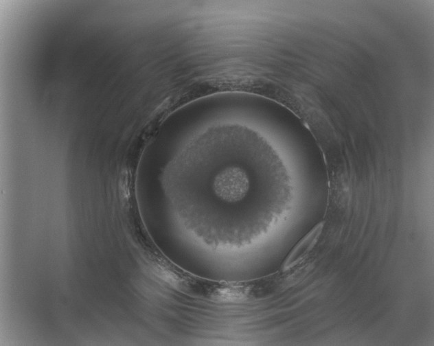 X0000072970232200607282330