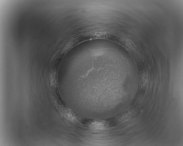 X0000072970236200607282330