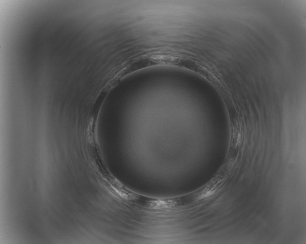 X0000072970239200607282330