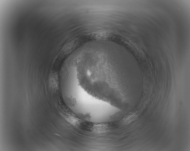 X0000072970240200607282330