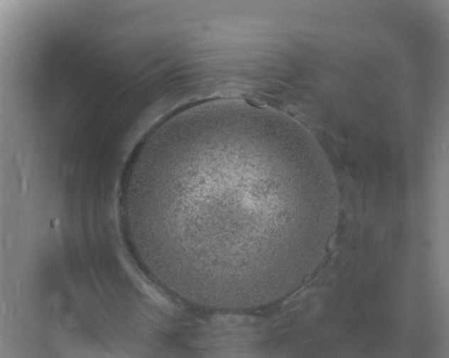 X0000072970242200607282329