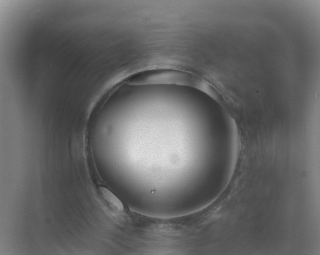 X0000072970244200607282329