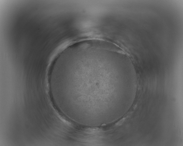 X0000072970245200607282329