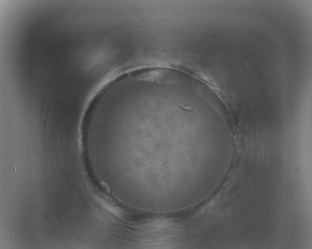 X0000072970246200607282329