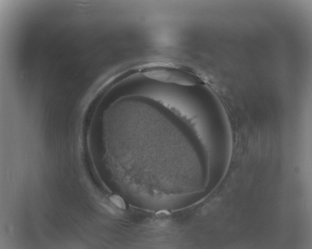 X0000072970247200607282329