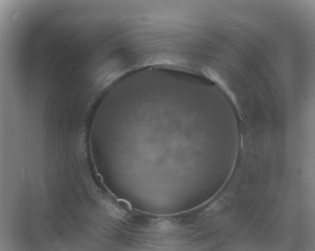 X0000072970249200607282329