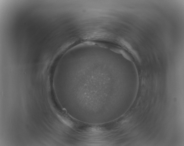 X0000072970250200607282329