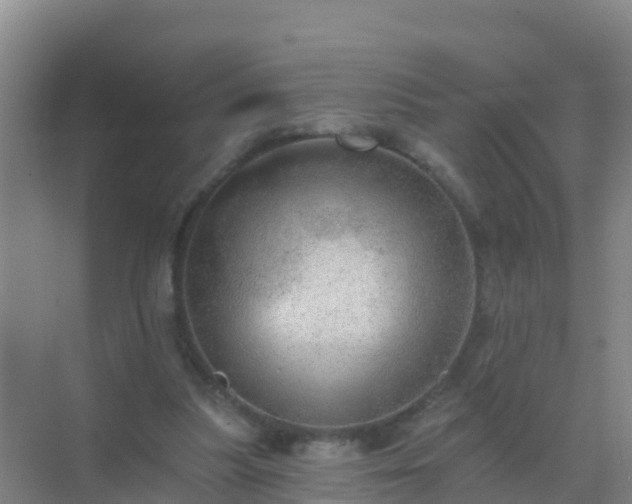 X0000072970251200607282329