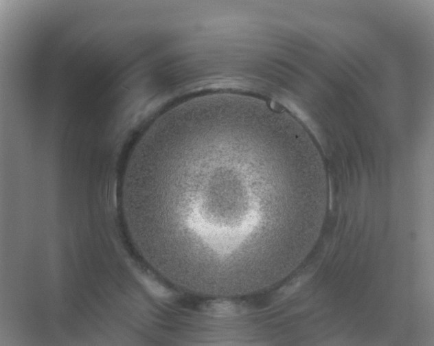 X0000072970253200607282329