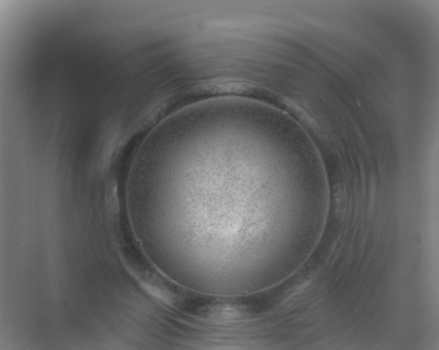 X0000072970254200607282329