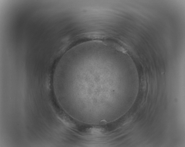 X0000072970255200607282329