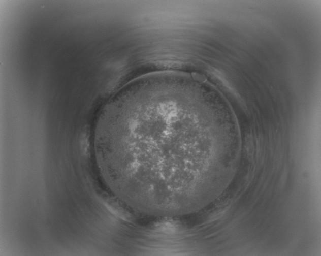 X0000072970259200607282329