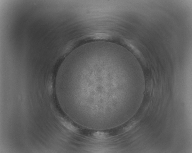 X0000072970261200607282329