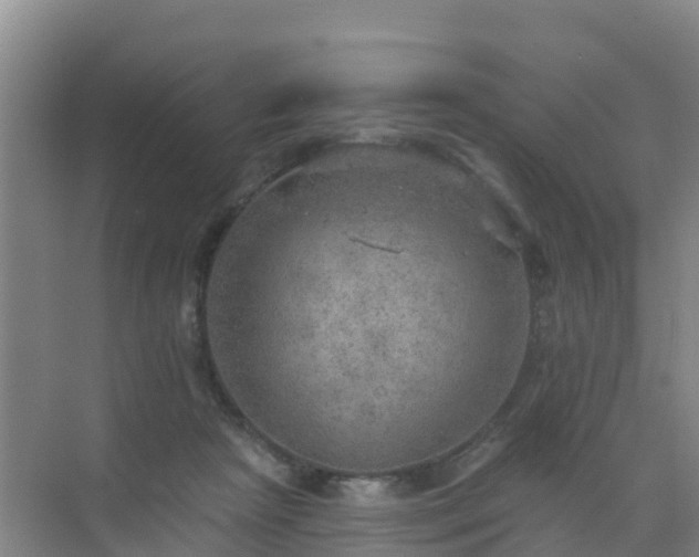 X0000072970265200607282329