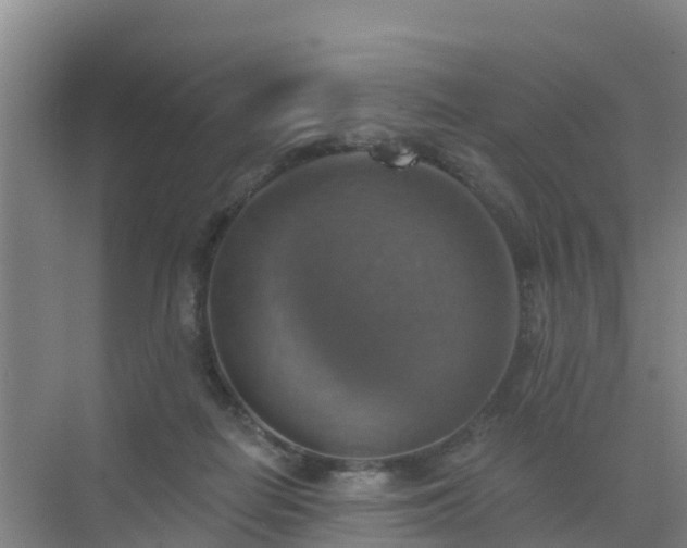 X0000072970266200607282329