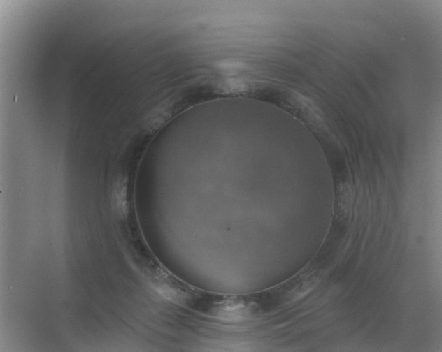 X0000072970267200607282329