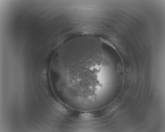 X0000072970269200607282329