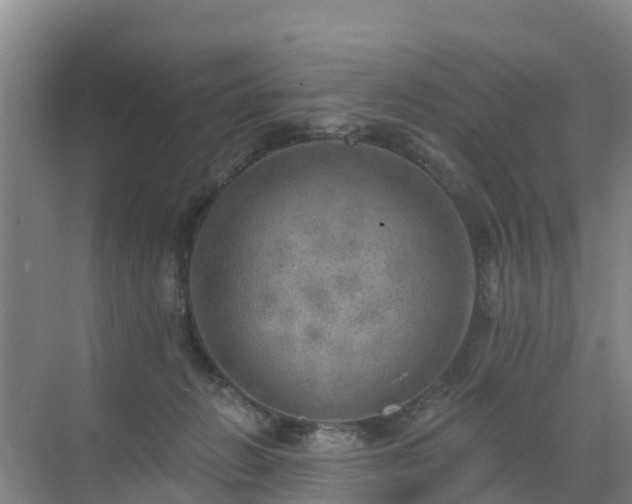 X0000072970270200607282329