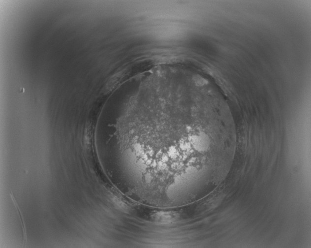 X0000072970277200607282330