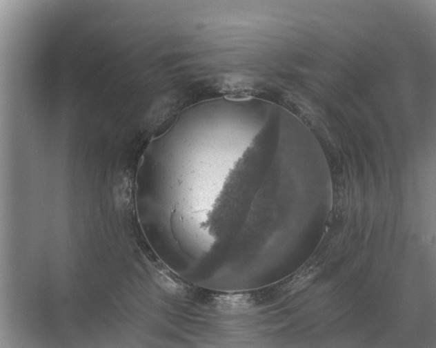 X0000072970281200607282330